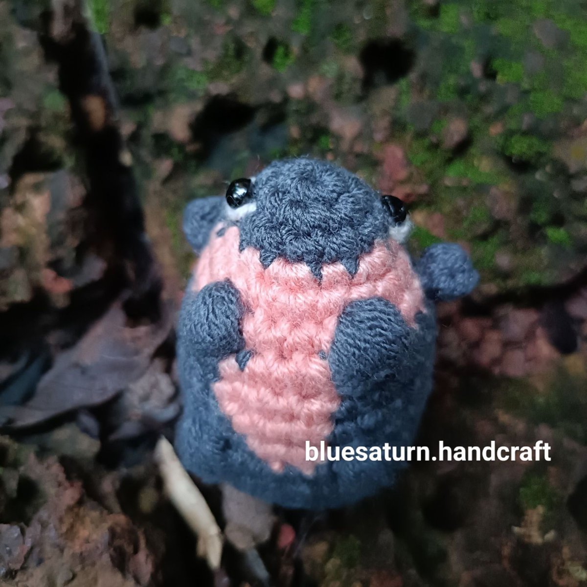 BlueSaturn_blue's tweet photo. Moodeng  is the cutest. 🤭❣️

#หมูเด้ง #moodeng #สวนสัตว์เขาเขียว #crochet #amigurumi #โครเชต์ #ตุ๊กตาถัก https://t.co/ZuCxBCFpxx