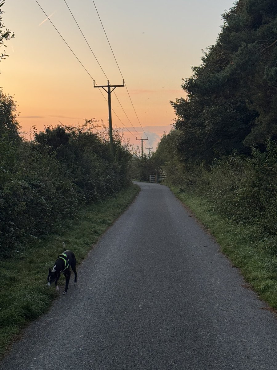 Stephen Boyes tweet media