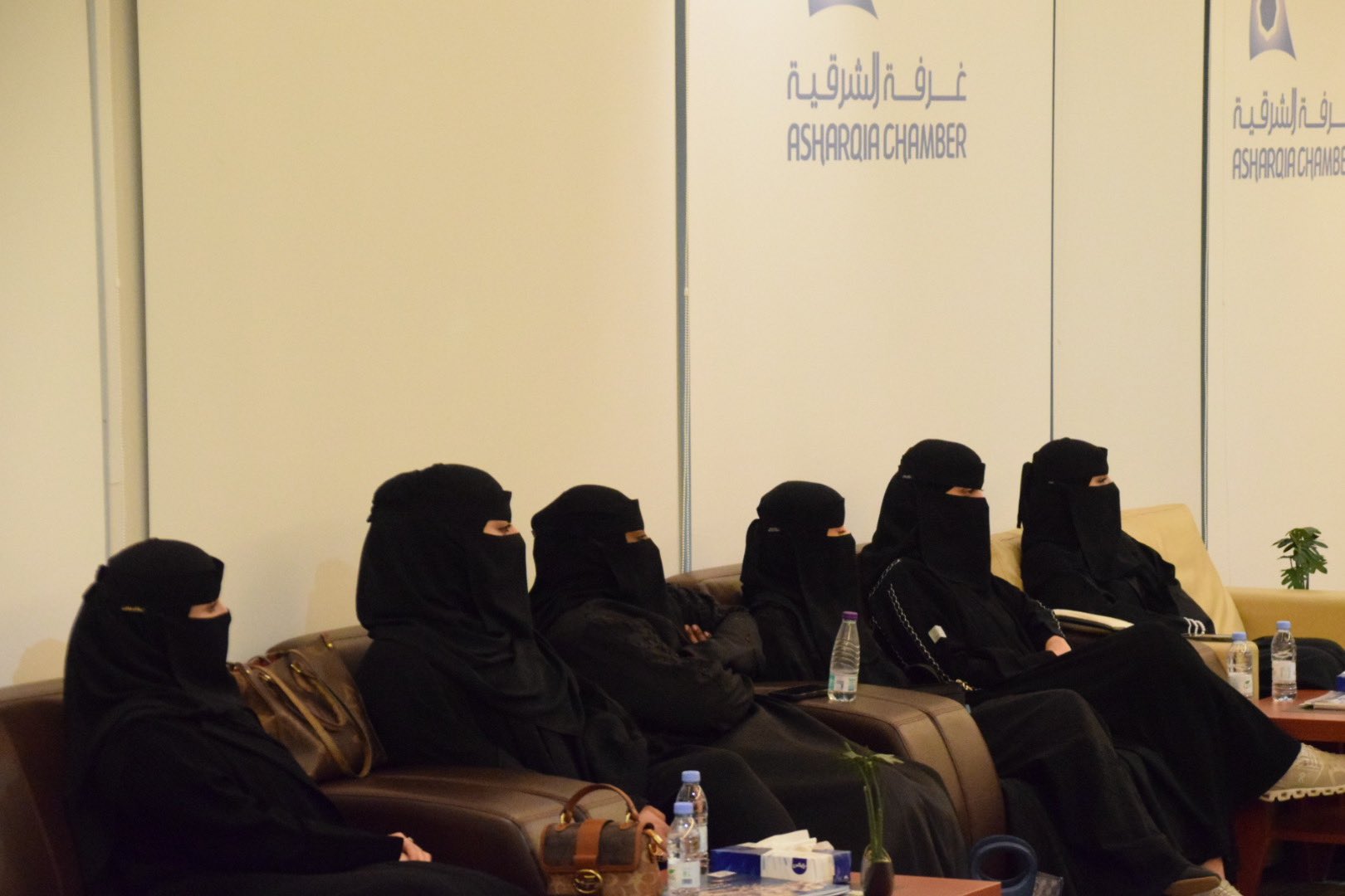 الصورة
