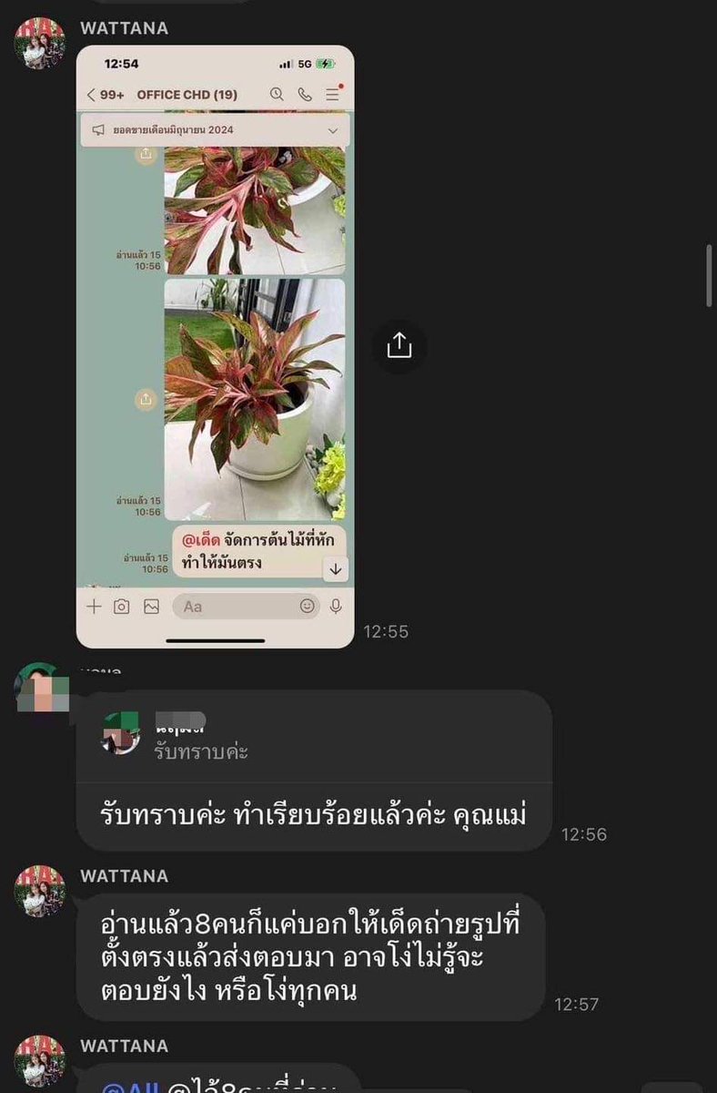 cherry b. 🌈🍒 tweet media