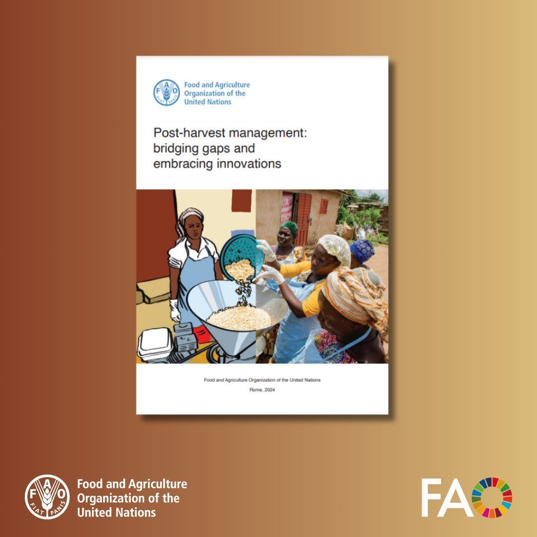 FAO Innovation (@faoinnovation) on Twitter photo New release from <a href="/FAO/">Food and Agriculture Organization</a>!
"Post-harvest management: bridging gaps & embracing innovations" explores reducing post-harvest loss & supports agribusiness in developing countries.🌾
It provides also essential info for gender & climate change integration. 🌍
📚buff.ly/3SvfHQW New release from <a href="/FAO/">Food and Agriculture Organization</a>!
"Post-harvest management: bridging gaps & embracing innovations" explores reducing post-harvest loss & supports agribusiness in developing countries.🌾
It provides also essential info for gender & climate change integration. 🌍
📚buff.ly/3SvfHQW