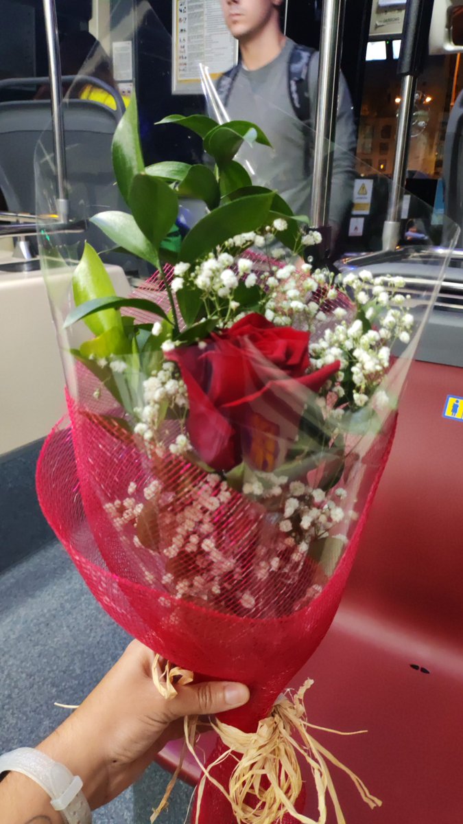 Simpauler29's tweet image. Después de cruzarme el país más de 15 horas de viaje y él me recibe así 🥹❤️