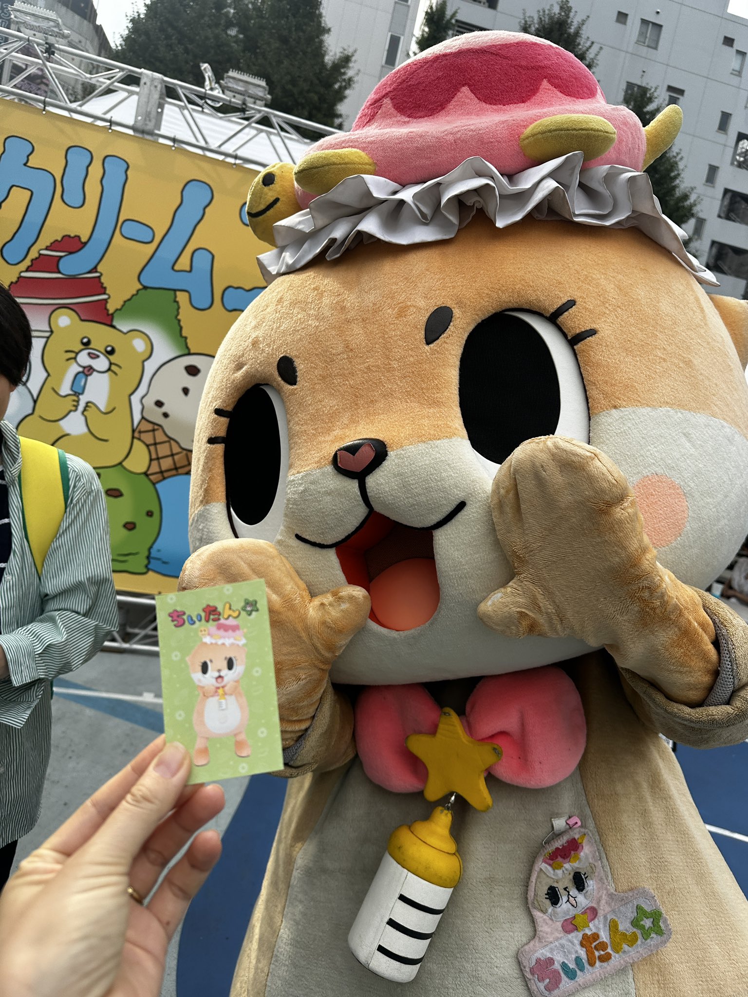 ちいたん - Search / X