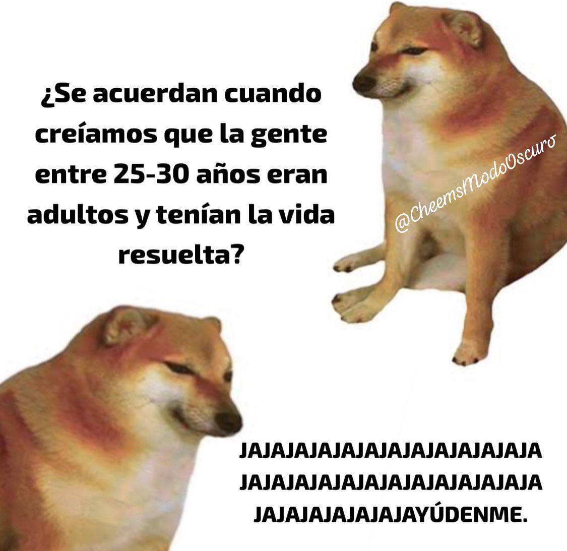 Ana_LaPatata (@ymuchosmemes) on Twitter photo 