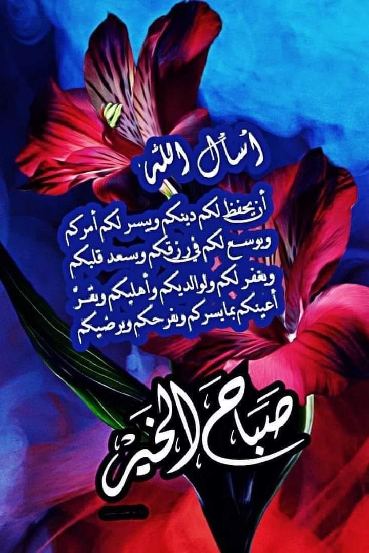 HythmAlnwaysh's tweet photo. @Khalsaleh72 https://t.co/chjZK5RRcs