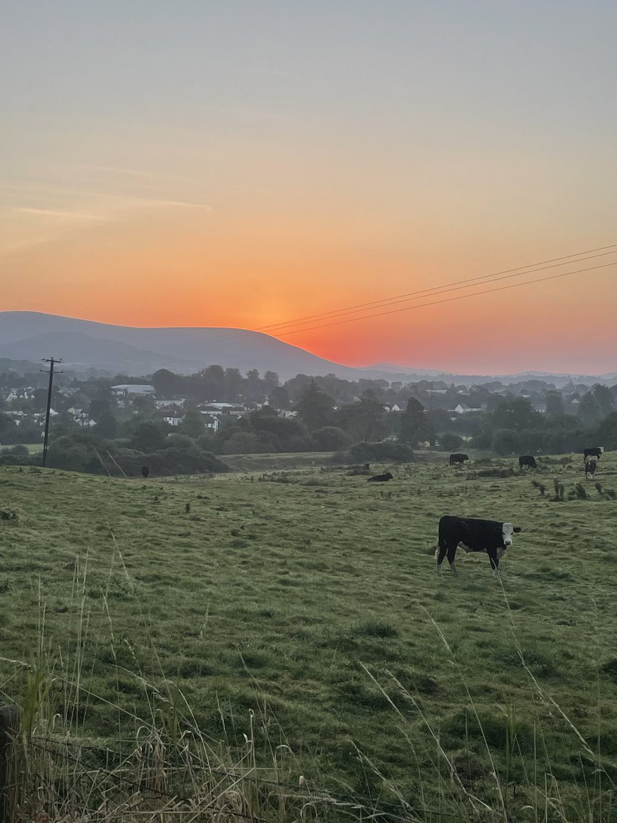 Brendan Doogue tweet media