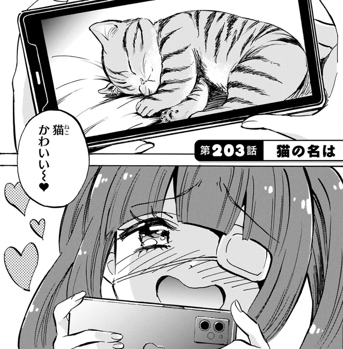 猫かわいい～♥ 