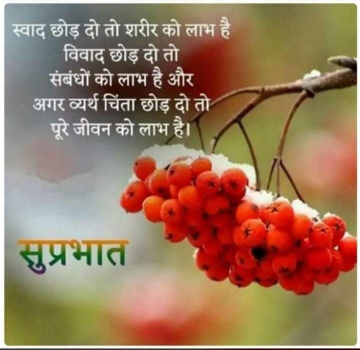 Mamta (@mamta42444247) on Twitter photo 