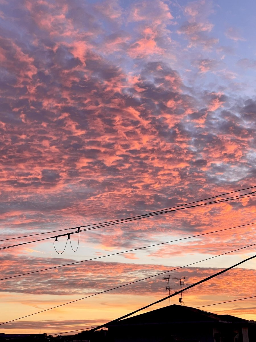 tomapokego's tweet photo. すんごい夕焼け🌆
これ何雲？うろこ？

#雲
#夕焼け
#サンセット https://t.co/xmddG0sIw2