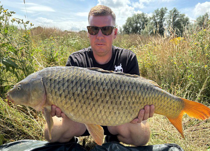 Danny stockwell tweet media