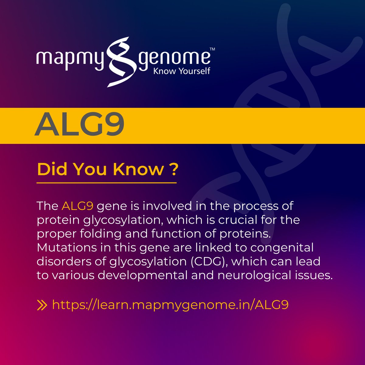 mapmygenome's tweet photo. The ALG9 gene plays a key role in the protein glycosylation process, which is essential for proper protein function. Mutations in this gene are linked to congenital disorders of glycosylation (CDG), impacting development and neurological health. Understanding genetic factors like ALG9 can lead to early diagnosis and better care options.

Login to learn more-
https://t.co/uaPRkuiIJw

#Genetics #Glycosylation #ALG9 #HealthTech #CongenitalDisorders #GeneticTesting #PersonalizedMedicine #Mapmygenome #RareDiseases #Mapmygenome #Knowyourself #Genes #DNA #Genomics #ALG9 #Mutations #Diagnosis