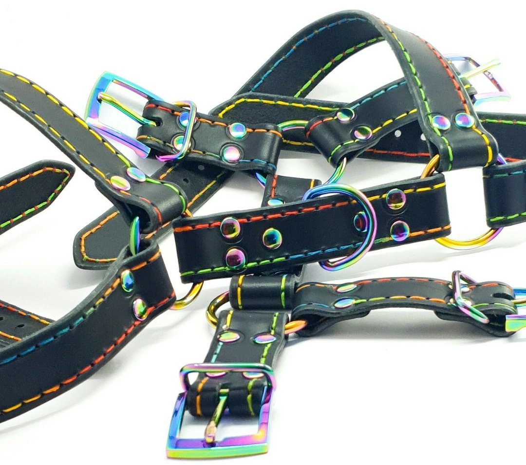 chillis_leather's tweet photo. #Pride themed #Bulldogharness 🏳️‍🌈
Made of high quality cattle leather, #rainbow hardware, handstitched using rainbow thread.

Size: XS - M 
#leathergear https://t.co/zmvuryseu4
