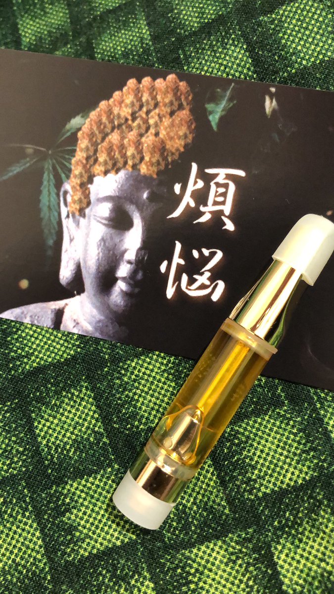MandiJaboke's tweet photo. えちえちな世界に飛び込んできます。
麻抜きオナ禁しっかりしたので万全の体制で臨みます。
＠108buriburi420 https://t.co/31kq2xrCnK