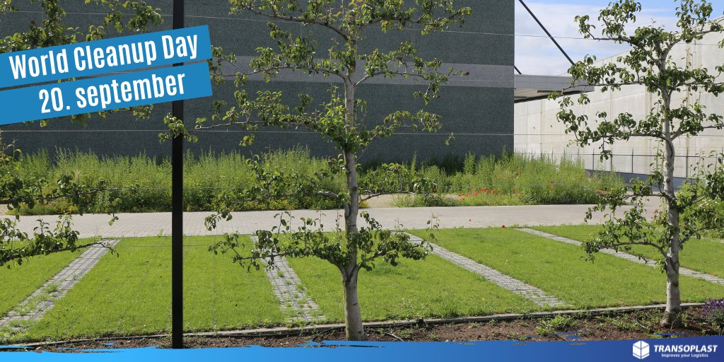 Transoplast bv tweet media