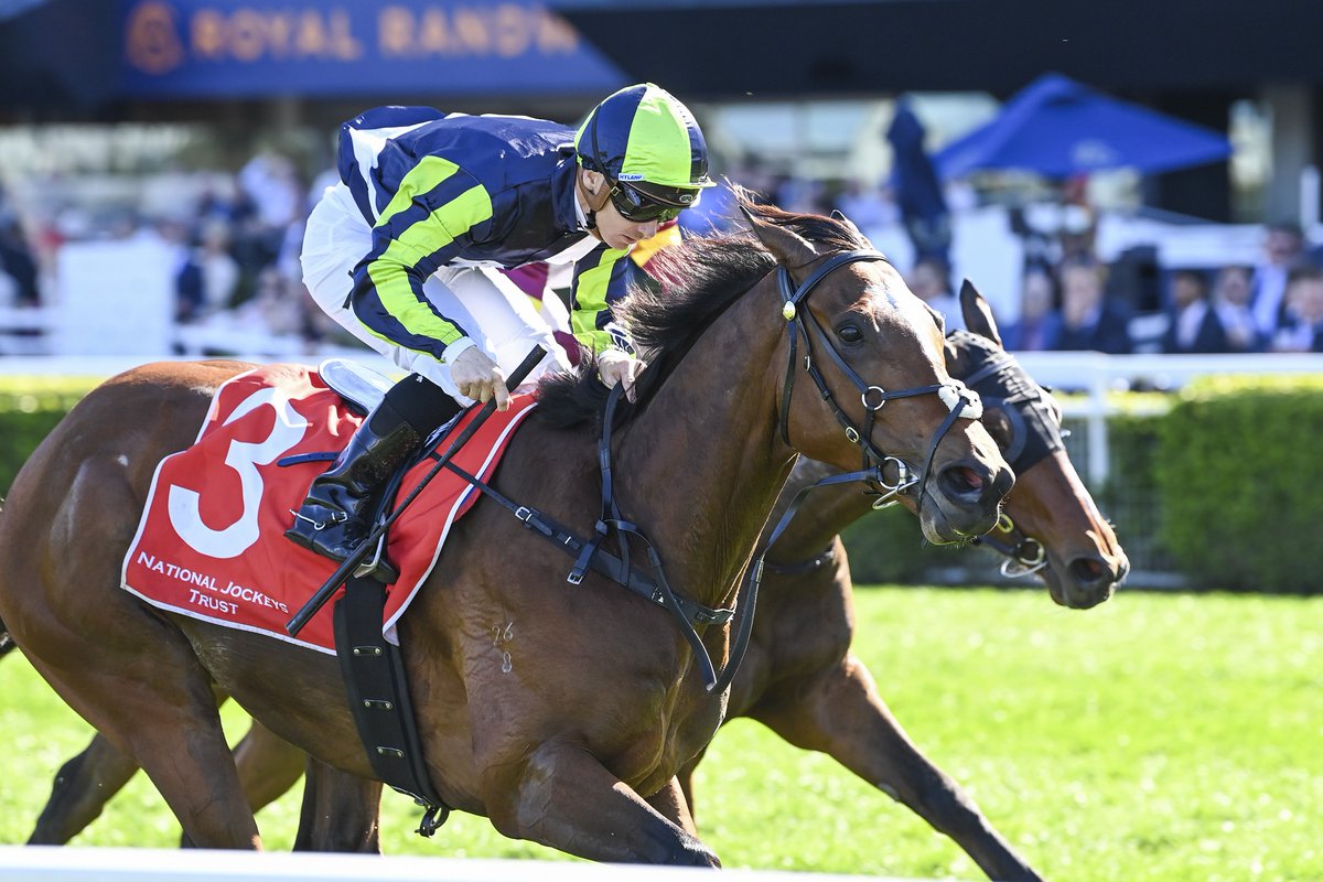 “He keeps progressing, I feel he keeps improving, and he’s ready to take that next step.”

Adrian Bott can't help but admire the record import Eliyass is building as he spearheads the stable's team in Saturday's Kingston Town Stakes. 📸Steve Hart

READ: tinyurl.com/3aatm4cr