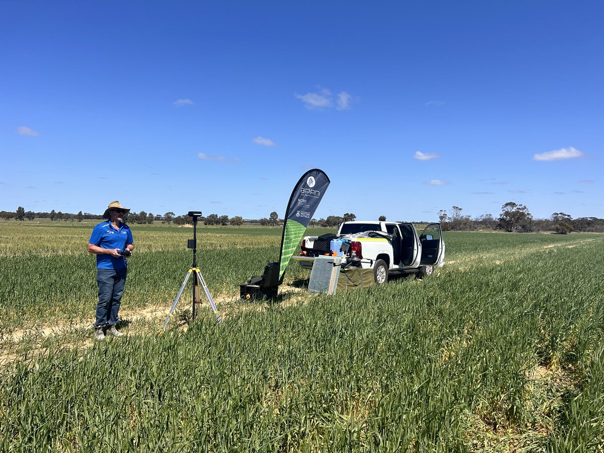 Nik Callow (@nikcallow) on Twitter photo Testing <a href="/AustPlantPhenom/">Australian Plant Phenomics Network</a> drone protocols, testing best settings to get quality data for quality #plant phenotyping <a href="/CWSS_UWA/">Centre for Water and Spatial Science</a> <a href="/ScienceUWA/">Science at UWA</a> <a href="/DPIRDbroadacre/">DPIRD Broadacre - WA Grains & Livestock</a> <a href="/nictaylorbio/">Nicolas Taylor</a> Testing <a href="/AustPlantPhenom/">Australian Plant Phenomics Network</a> drone protocols, testing best settings to get quality data for quality #plant phenotyping <a href="/CWSS_UWA/">Centre for Water and Spatial Science</a> <a href="/ScienceUWA/">Science at UWA</a> <a href="/DPIRDbroadacre/">DPIRD Broadacre - WA Grains & Livestock</a> <a href="/nictaylorbio/">Nicolas Taylor</a>