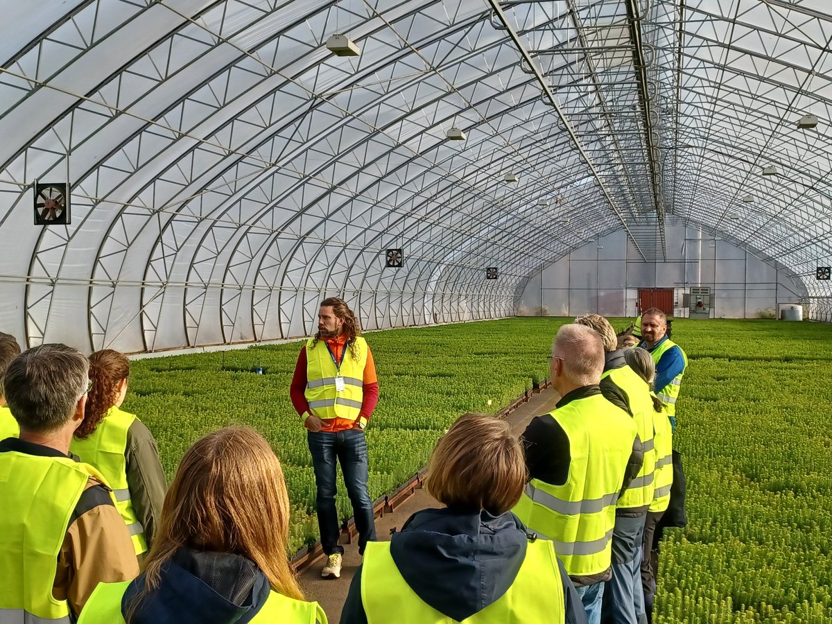 Jälleen kerran: metsänviljelyaineiston tuotanto ei ole näpertelyä. Tarvitaan tuhansia kiloja siementä, tuotetaan kymmeniä miljoonia taimia. <a href="/NordGen/">NordGen</a> konferenssi jatkuu <a href="/siemenforelia/">Siemen Forelia Oy</a> ja Finforelian tiloissa.