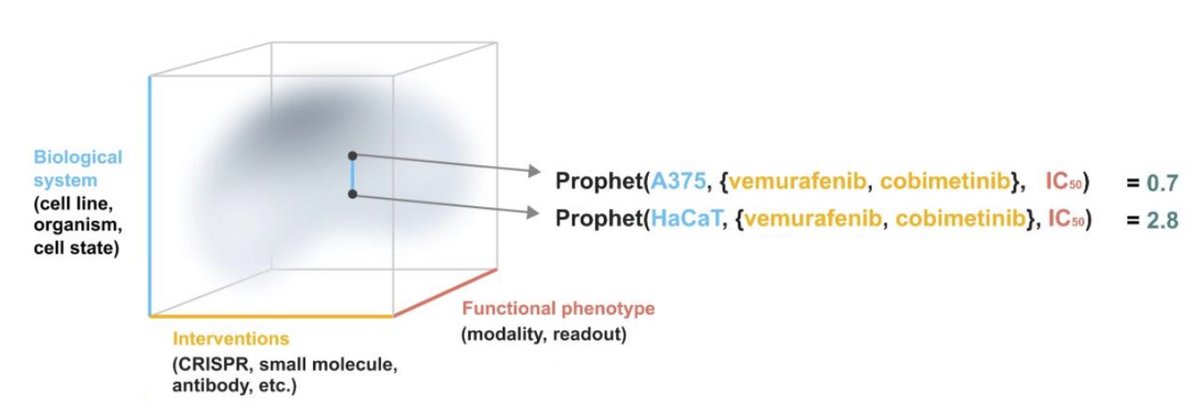 Fabian Theis (@fabian_theis) on Twitter photo Thrilled to share our „PRedictor Of PHEnoTypes“ model Prophet! Led by <a href="/Alejandro__TL/">Alejandro Tejada Lapuerta</a> & <a href="/_yji_/">Yuge Ji</a>, Prophet is a transformer-based model that predicts outcomes for unseen experiments. It aims to understands biology by learning across assays and phenotypes over 4.7M+ experiments. Thrilled to share our „PRedictor Of PHEnoTypes“ model Prophet! Led by <a href="/Alejandro__TL/">Alejandro Tejada Lapuerta</a> & <a href="/_yji_/">Yuge Ji</a>, Prophet is a transformer-based model that predicts outcomes for unseen experiments. It aims to understands biology by learning across assays and phenotypes over 4.7M+ experiments.