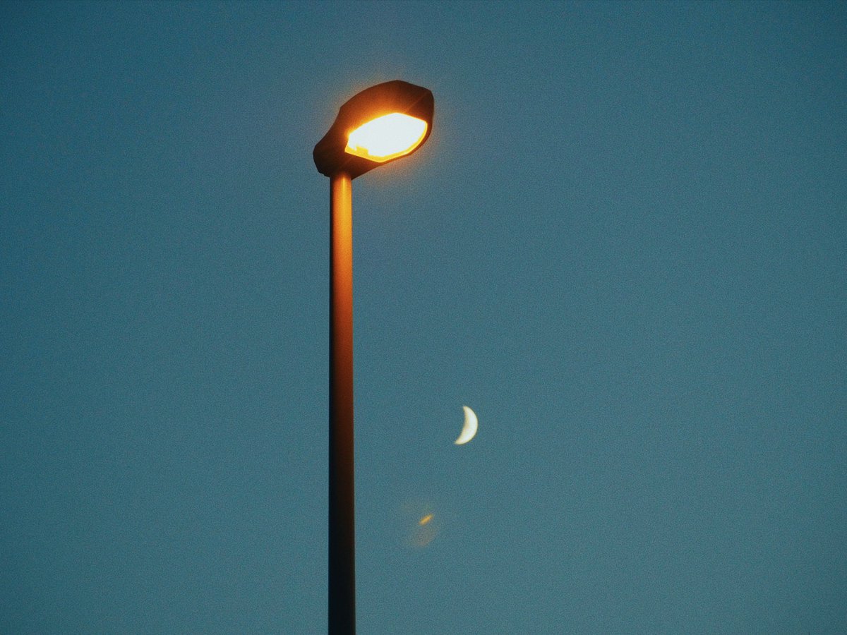 moonly0203's tweet image. 