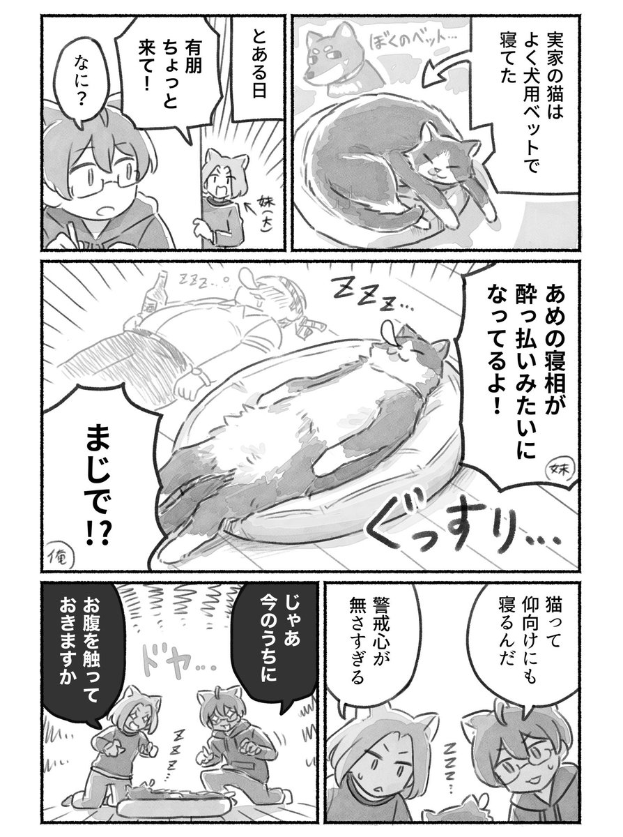 実家の猫の寝相が変な方向に発展した話
 #漫画が読めるハッシュタグ 