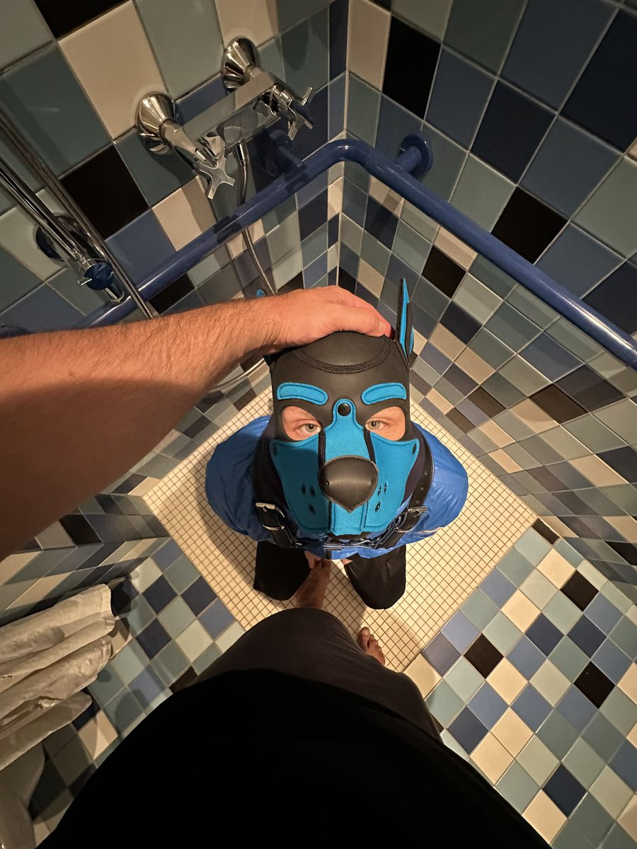 spikepup2's tweet photo. Please, sir.

#gaypup #puppyplay https://t.co/T4esxEYs2G