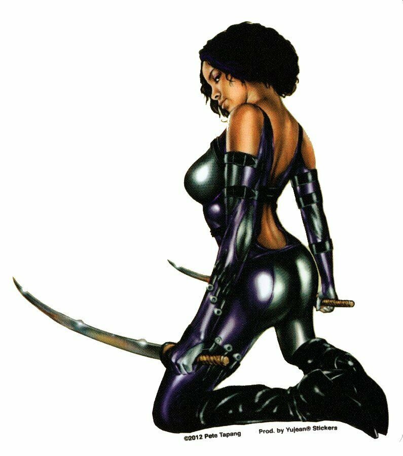 Sexy PinUp Stickers tweet media