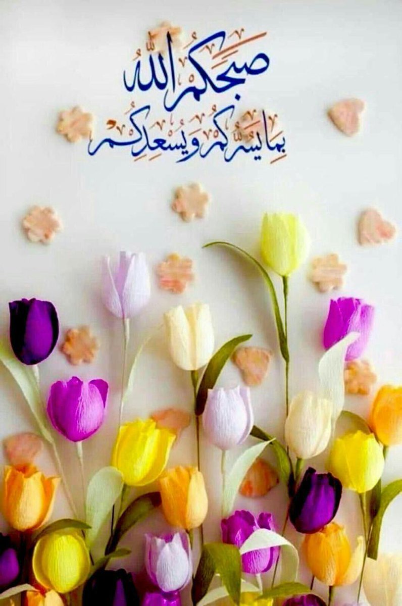 Suliman tweet media