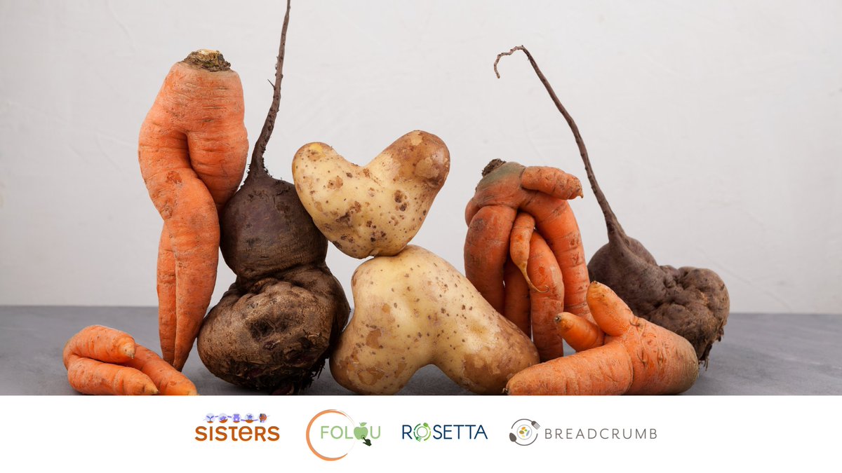 🐟 The <a href="/Breadcrumb_HE/">Breadcrumbproject</a>  project dives  deep into the impact of marketing standards on food waste, focusing on specific  key commodities.  By  understanding these standards, we can reduce waste and create a more  sustainable future.
🔗Read more in our blog: lnkd.in/dMiGgjaC