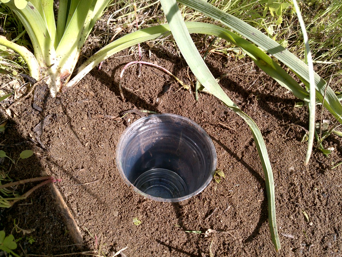 SpongeScapes tweet media