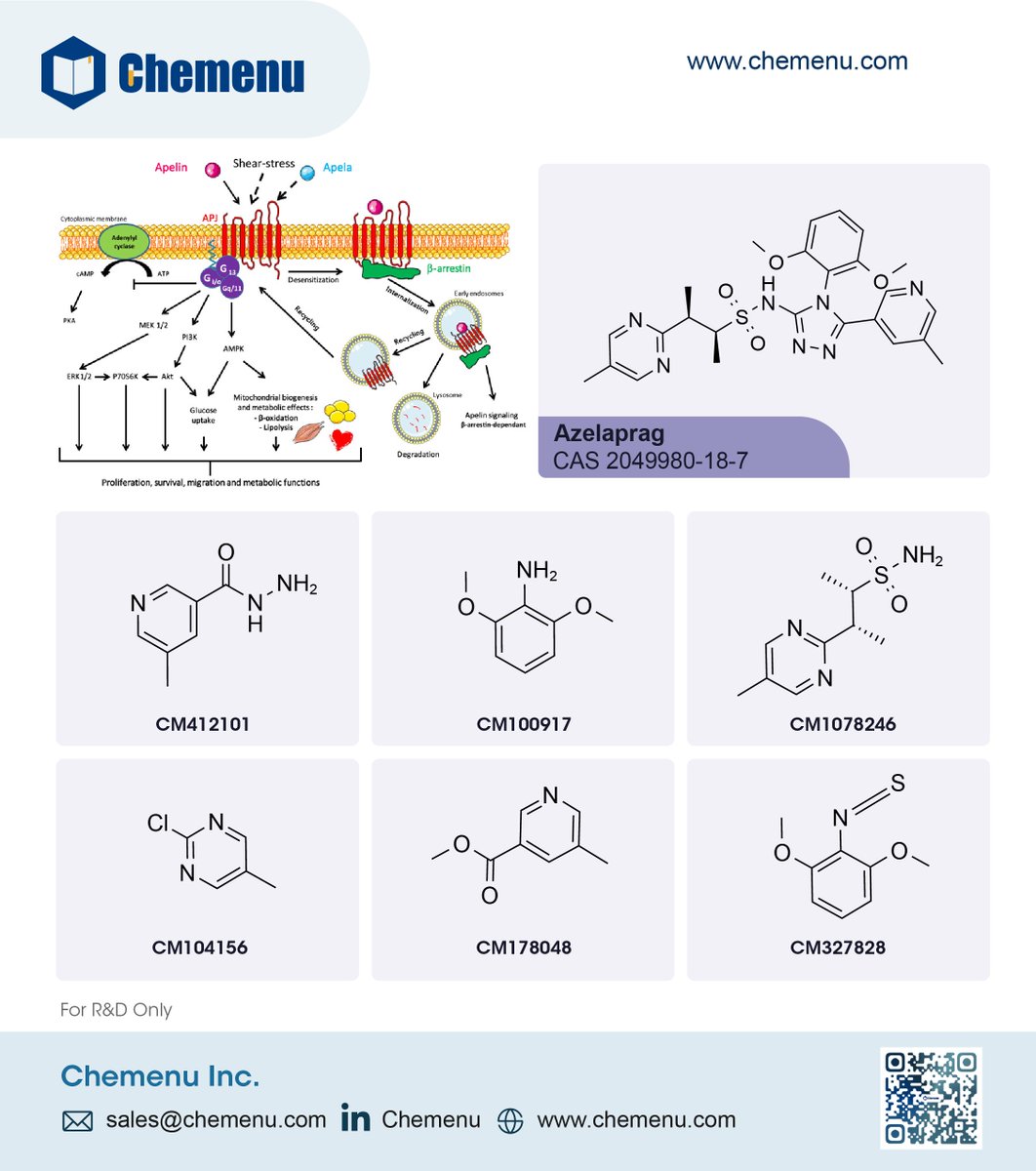 LinkchemL's tweet photo. BioAge Labs presents preclinical data for apelin receptor agonist azelaprag for obesity demonstrating significant improvements in weight loss and body composition when combined with incretin drugs. https://t.co/sY9CWZ6J6x
