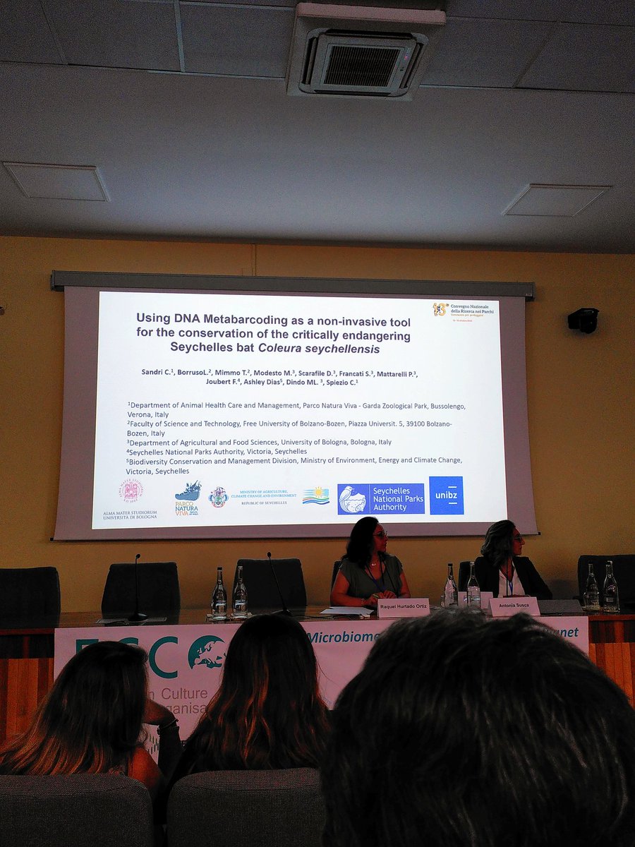 Giovanna Felis tweet media