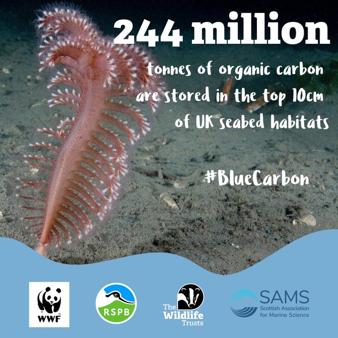 Wildlife and Countryside Link tweet media