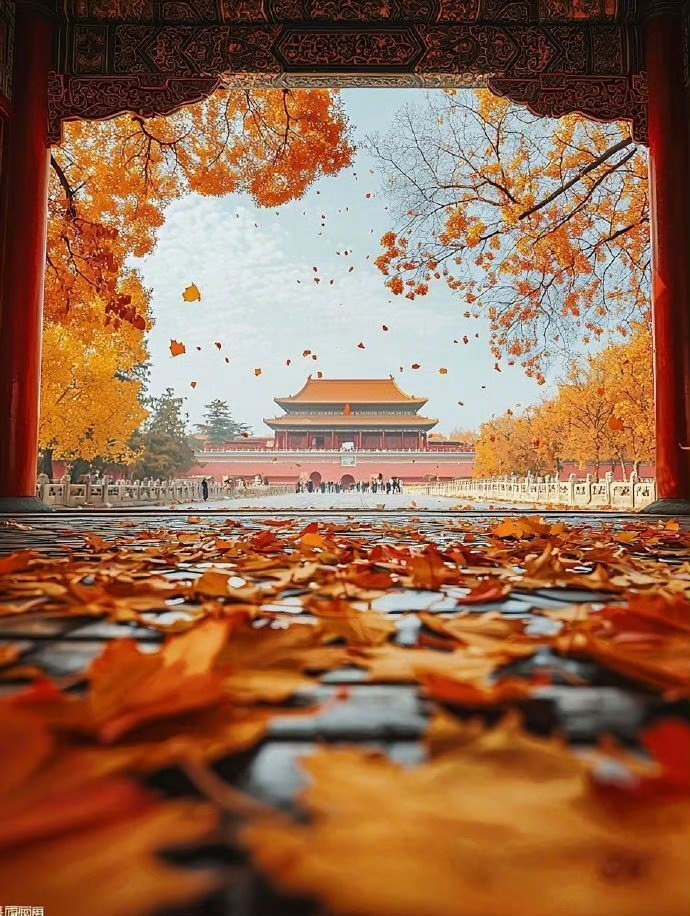 qiaoliang1994's tweet photo. “深秋的紫禁城，最美的故宫” https://t.co/ZzvGTHn9qR