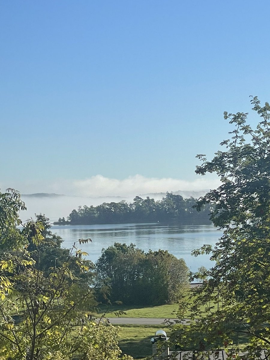 A beautiful morning in Stockholm 

En vacker morgon i Stockholm 🍀☀️