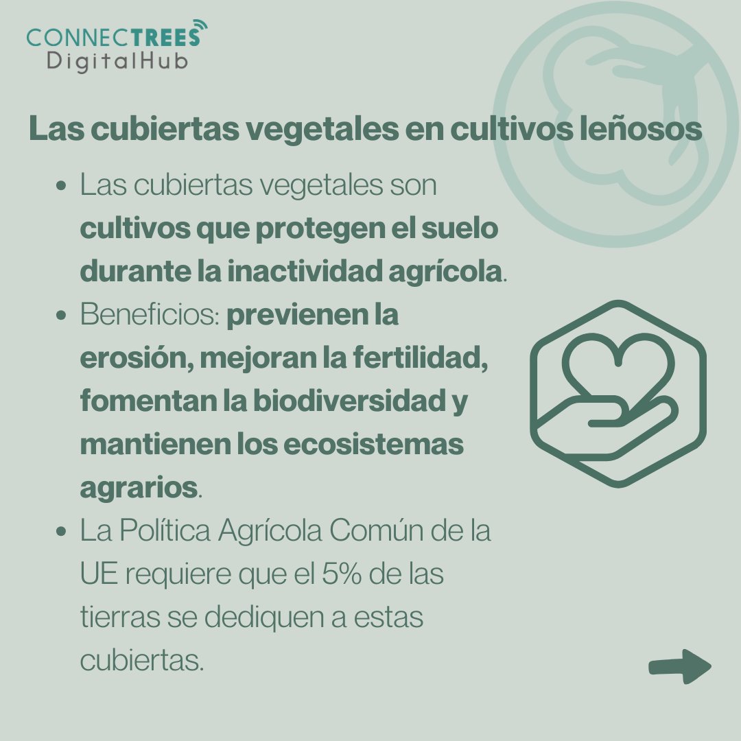 ConnecTreesDig's tweet image. 🆕 ¿Cómo realizar la siembra de cubiertas vegetales en cultivos leñosos? 🆕
Las cubiertas vegetales son clave en la agricultura española y ganan relevancia con los nuevos eco esquemas de la PAC. Descubre más en nuestro blog 📖
connectrees.es/cubiertas-vege…
¿Te conectas? 🌱