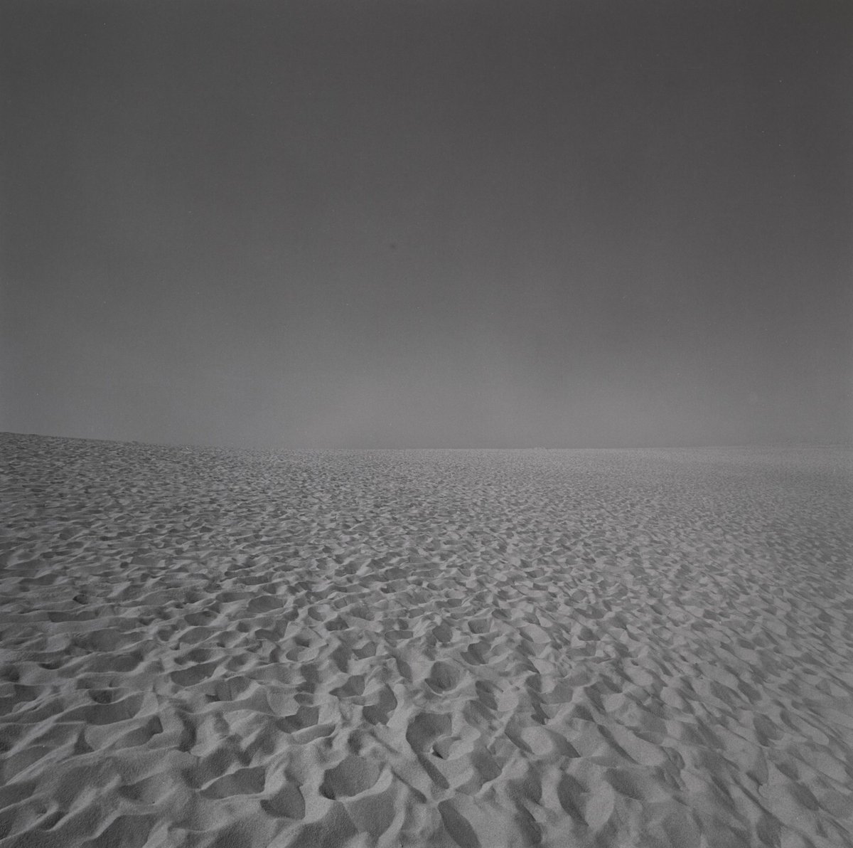 Cape Cod moma.org/collection/wor…