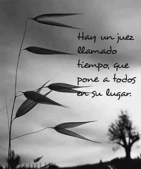 VidaEquilibrada (@vidaequilibrad4) on Twitter photo 