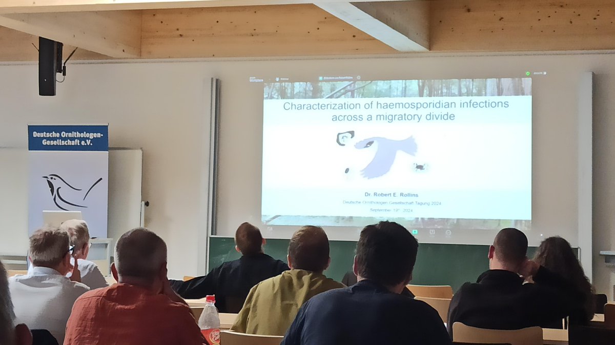 DO-G (@dornitholges) on Twitter photo Combining #molecular methods and #tracking information, <a href="/RBorrelia/">Robert E. Rollins</a> presented his results on the characterization of haemosporidian infections across a migratory devide in the Eurasian Blackcap.
#ornithology Combining #molecular methods and #tracking information, <a href="/RBorrelia/">Robert E. Rollins</a> presented his results on the characterization of haemosporidian infections across a migratory devide in the Eurasian Blackcap.
#ornithology