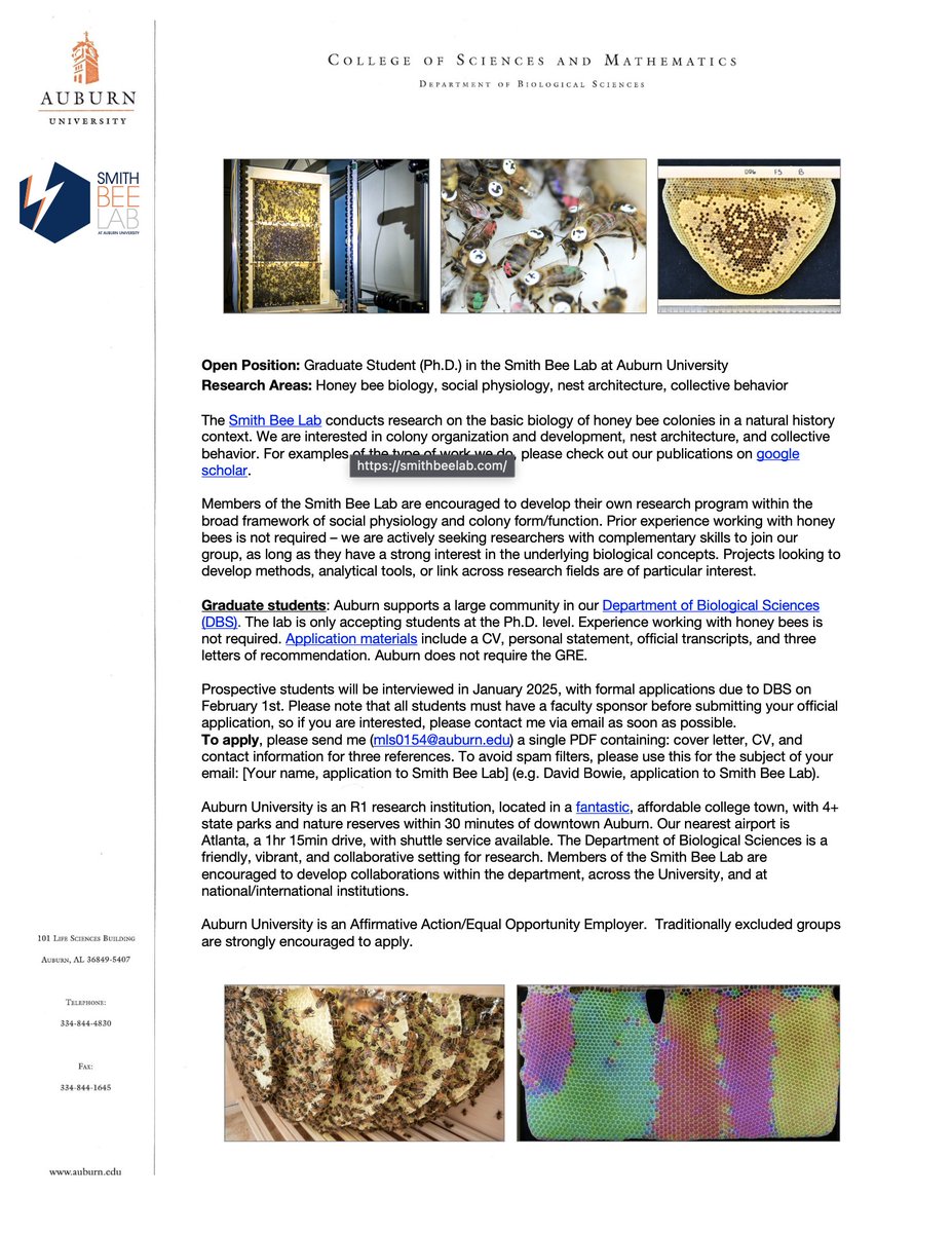 We're recruiting!!! 🚨🐝🚨

See advert below, for a grad student opening in the Smith Bee Lab.

We welcome applicants from all types of fields, no prior bee experience is required or expected.

Open-ended research topics, driven by curiosity (after all, it's *YOUR* PhD!)