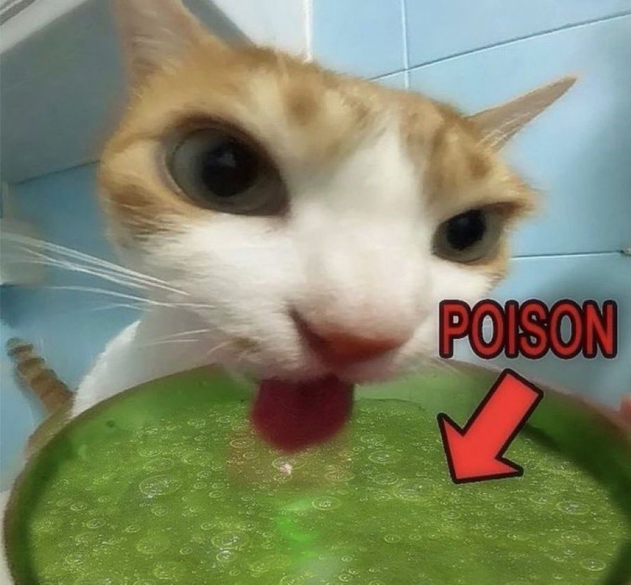 하… 시몬아……. 하 
몰이해의 세계로 처음 읽었던 그 순간으로 돌아간 것 같음