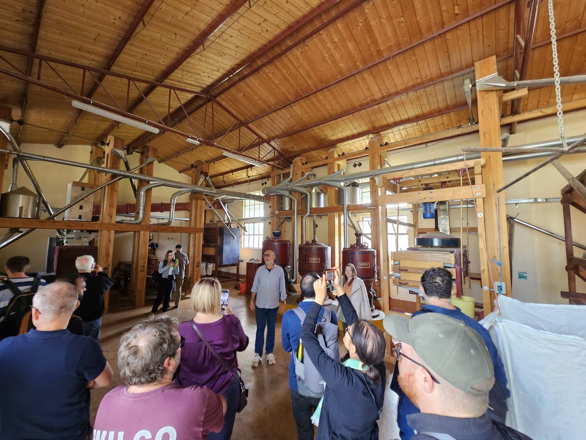 European Coordination Let's Liberate Diversity! tweet media