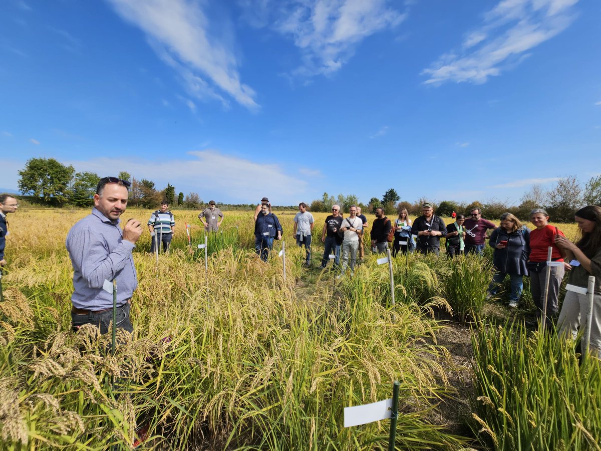 European Coordination Let's Liberate Diversity! tweet media