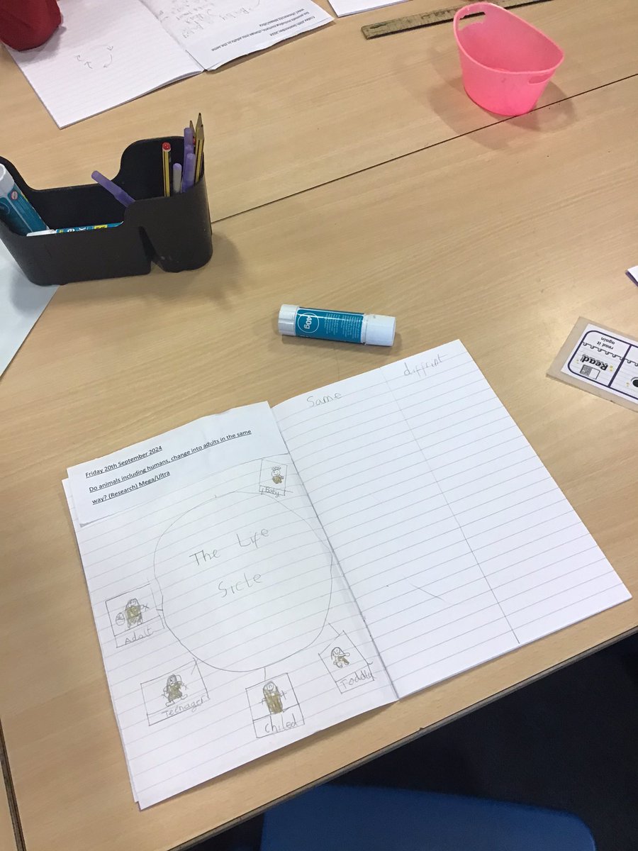 2YorkeMead's tweet photo. Do animals including humans change into adults the same way? We have explored a human life cycle and compared it to a frog, butterfly and sheep! Some of us extended our learning by placing these similarities and differences into a table πΈππ¦ #YorkeScience https://t.co/nmYiqAJqqe