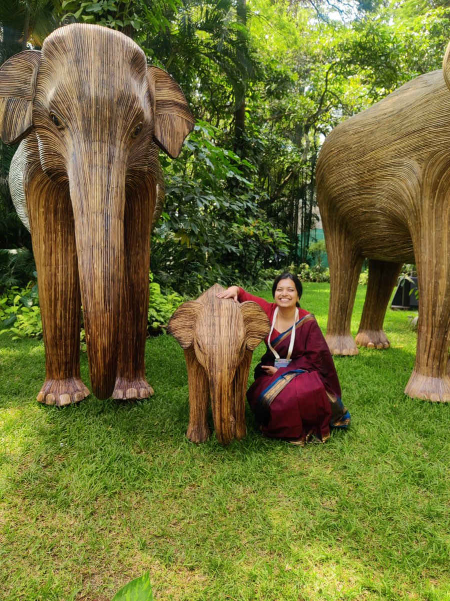 Conserving_CI tweet media