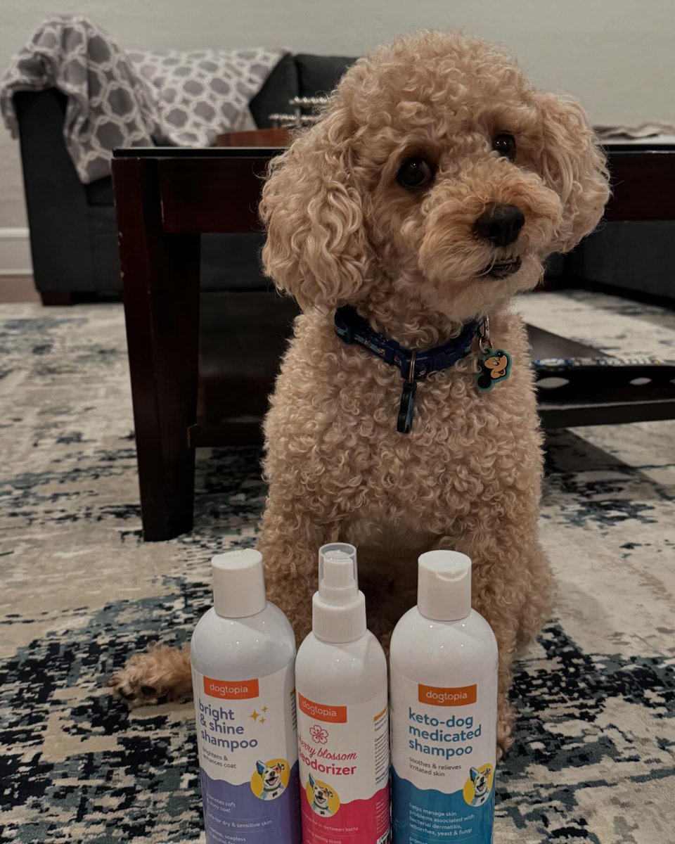 Pet Age Magazine tweet media