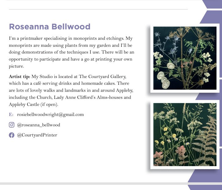 A great opportunity to visit Appleby artist Roseanna Bellwood’s studio at the Courtyard Gallery. Rosie will be demonstrating her printmaking techniques and explaining her work. As well as a mini exhibition in our Gallery, there’ll be plenty of unframed work to see in her studio.