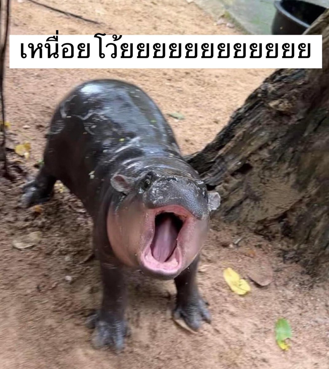 ความรู้สึกของทุกวัน :