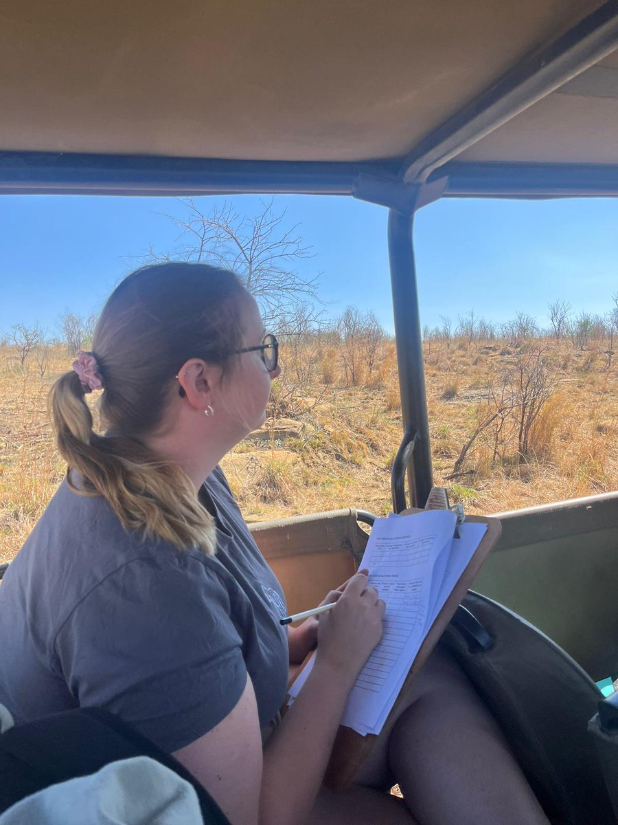 GAP__AFRICA's tweet photo. Some more photos of our volunteers straight from the field! They are currently volunteering at @NambitiReserve , assisting the research team in monitoring priority species and collecting important data. How beautiful and elegant are the blue cranes!? South Africa's national bird. https://t.co/19yOQshfkW