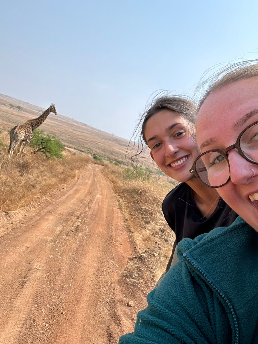 GAP__AFRICA's tweet photo. Some more photos of our volunteers straight from the field! They are currently volunteering at @NambitiReserve , assisting the research team in monitoring priority species and collecting important data. How beautiful and elegant are the blue cranes!? South Africa's national bird. https://t.co/19yOQshfkW