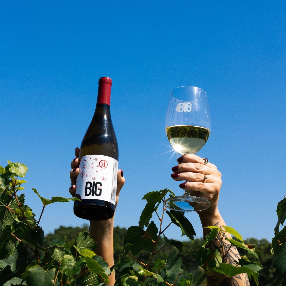 Wine in hand, sunshine above, and the vines all around – what more do you need?

📸 rooted.photo